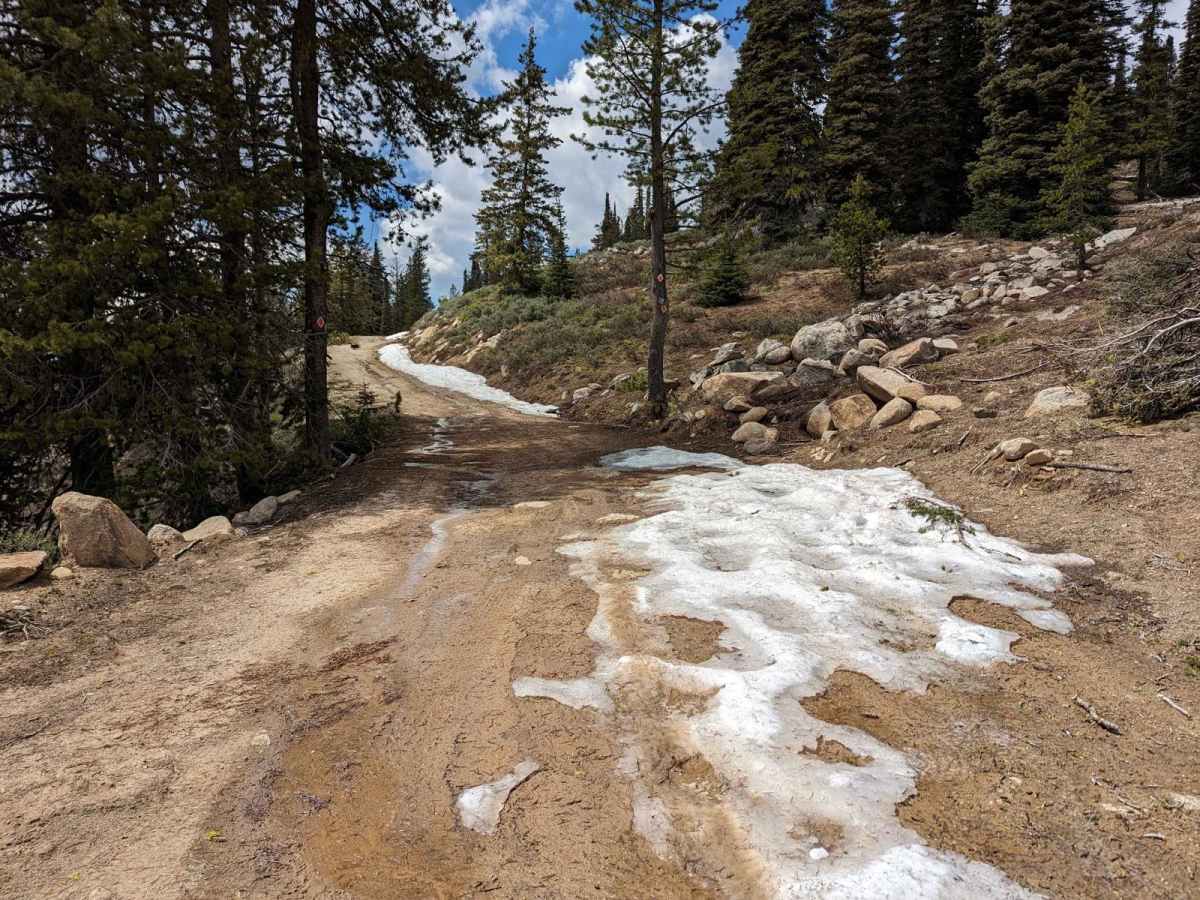 Pilot Peak/Summit Flat 380 photo 6