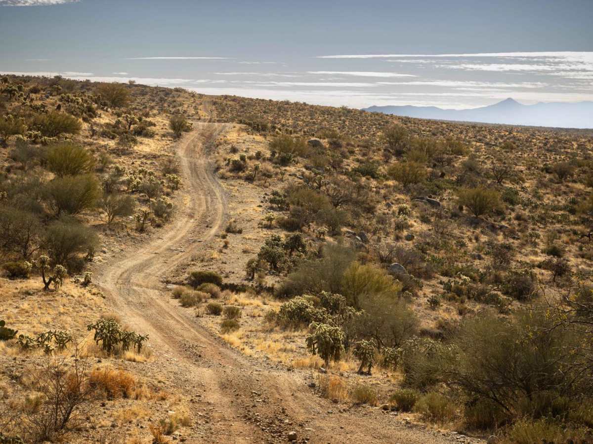 Lovetta Trail photo 4