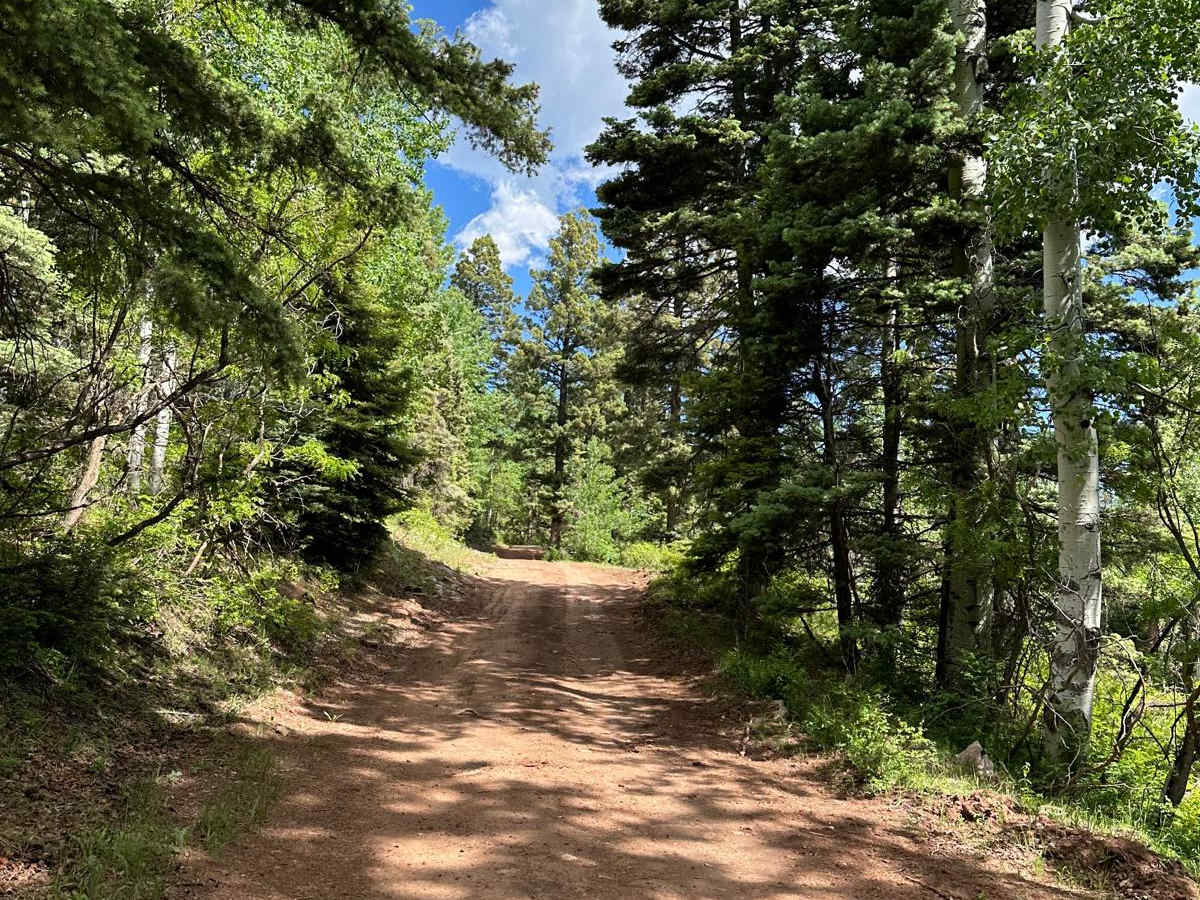 FR 93 Red Mud Rumble trail photo