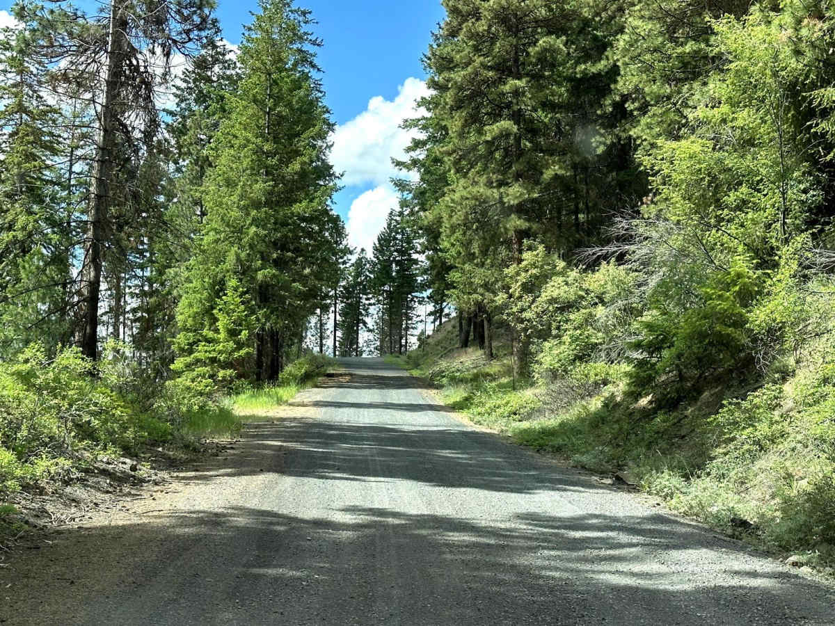 Rock Creek Road photo 5