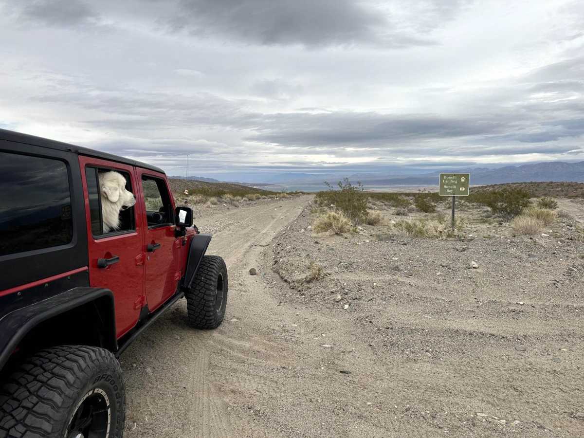Bonelli Landing photo 2