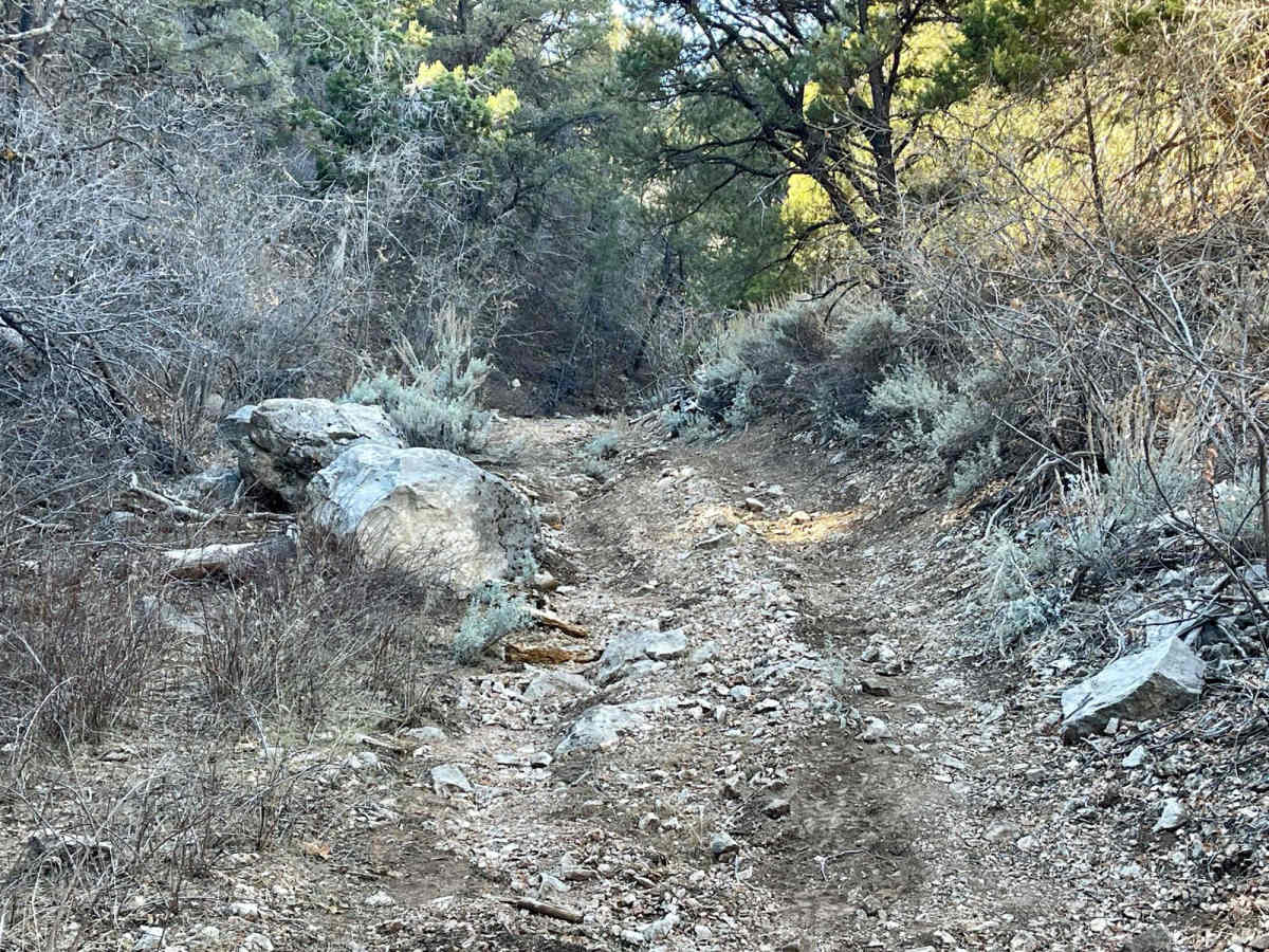 1071K Last Chance Lookout photo 6