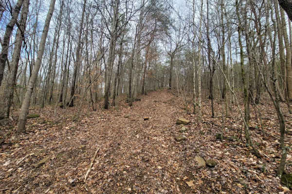 Hornets Nest Bypass