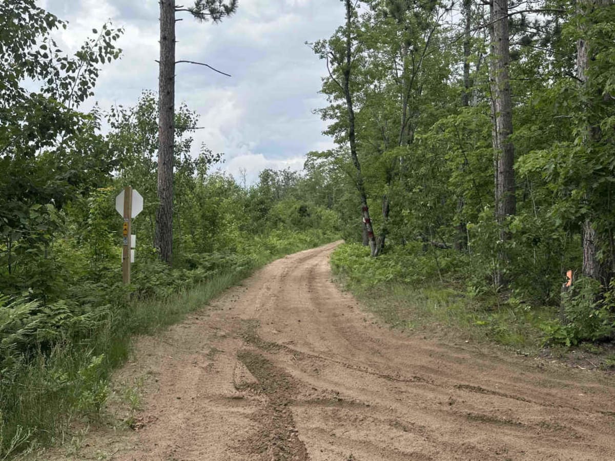 LP 494 to LP 4 trail photo