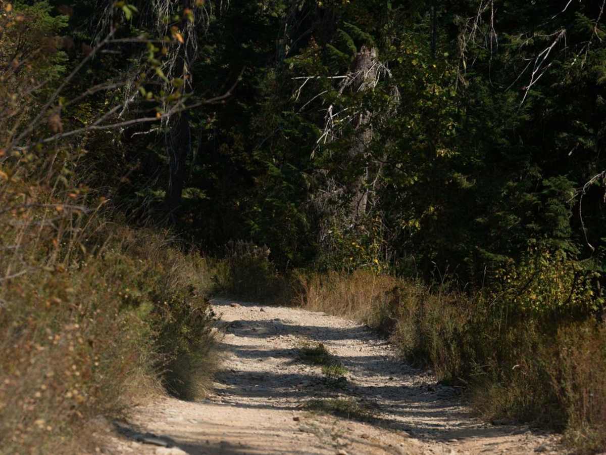 Crooked Ridge - FS 258 photo 4