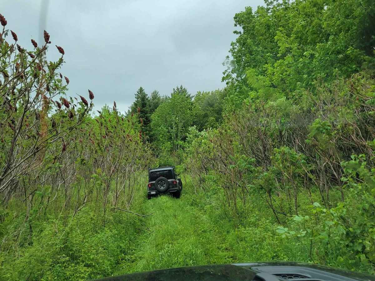 Baker Hill Summit photo 4