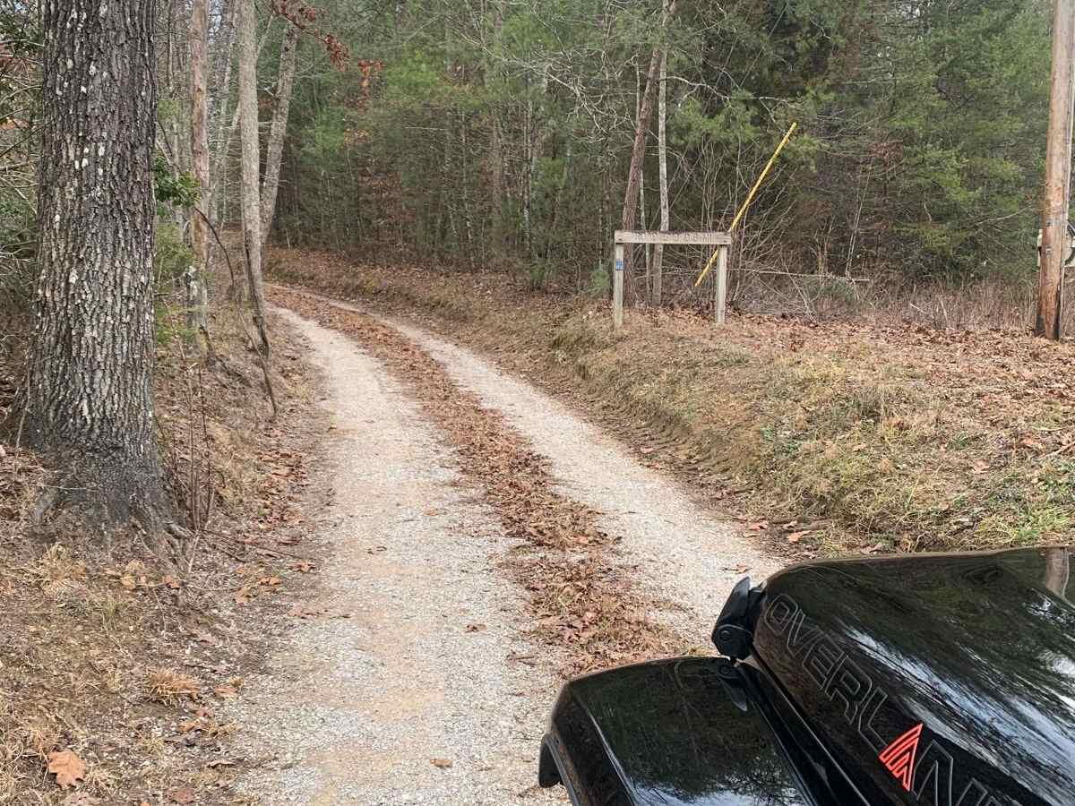 Bandy Creek Trek trail photo