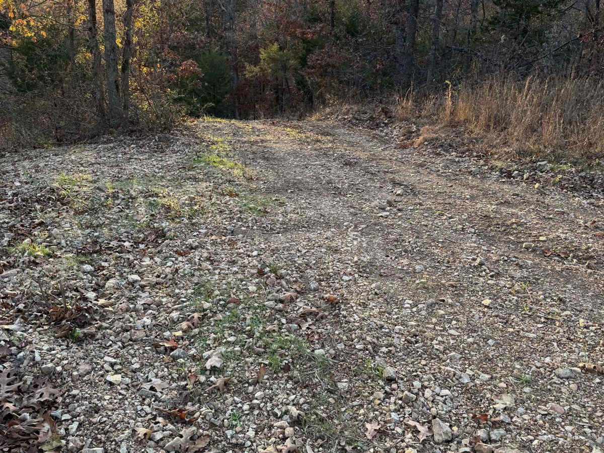 Green 181 trail photo