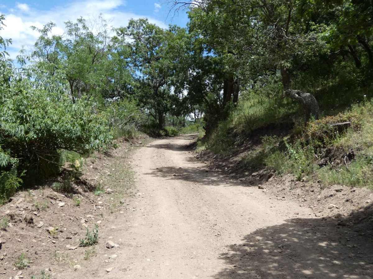 Parsons - FSR108 photo 3