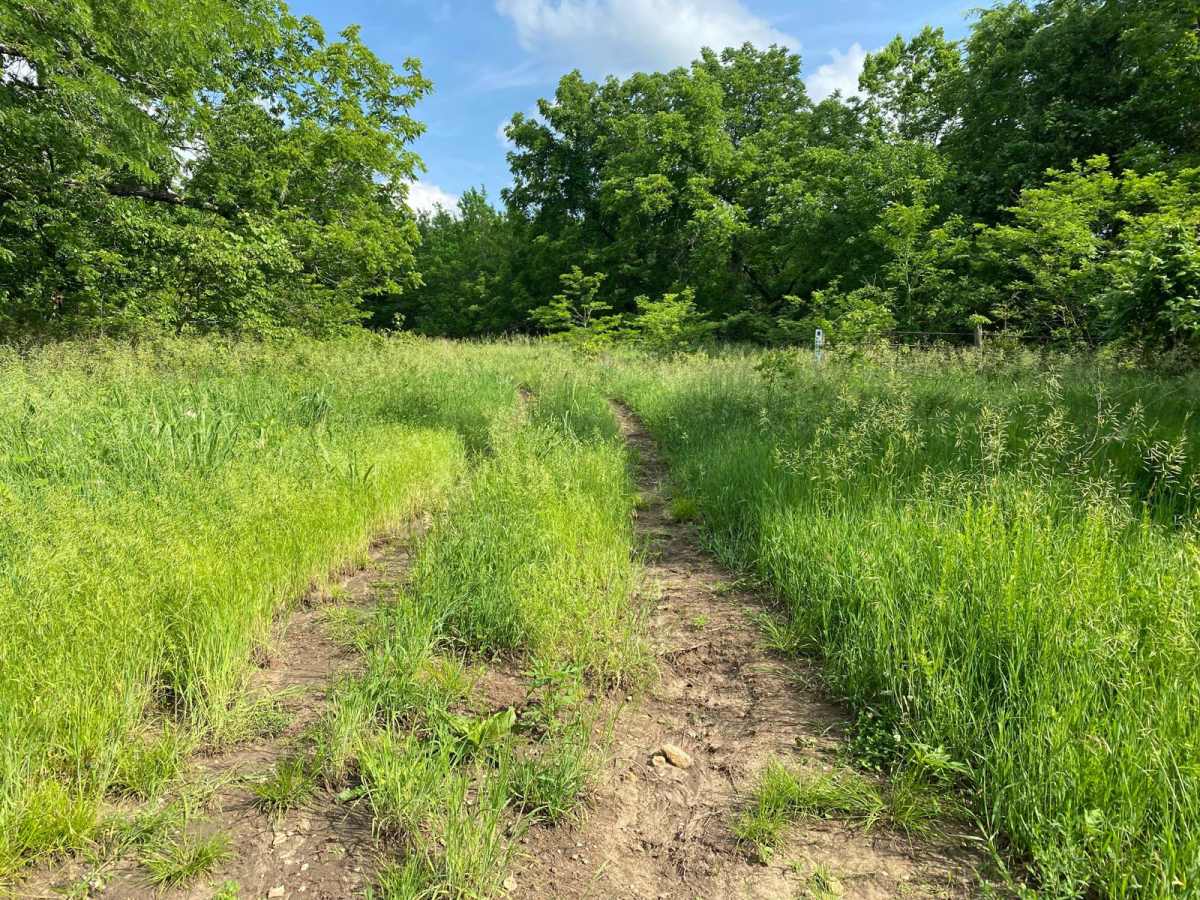 Brandy's Dandy trail photo