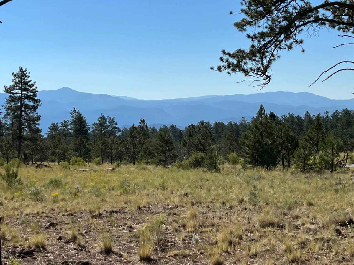 Browns Creek Spur photo 2