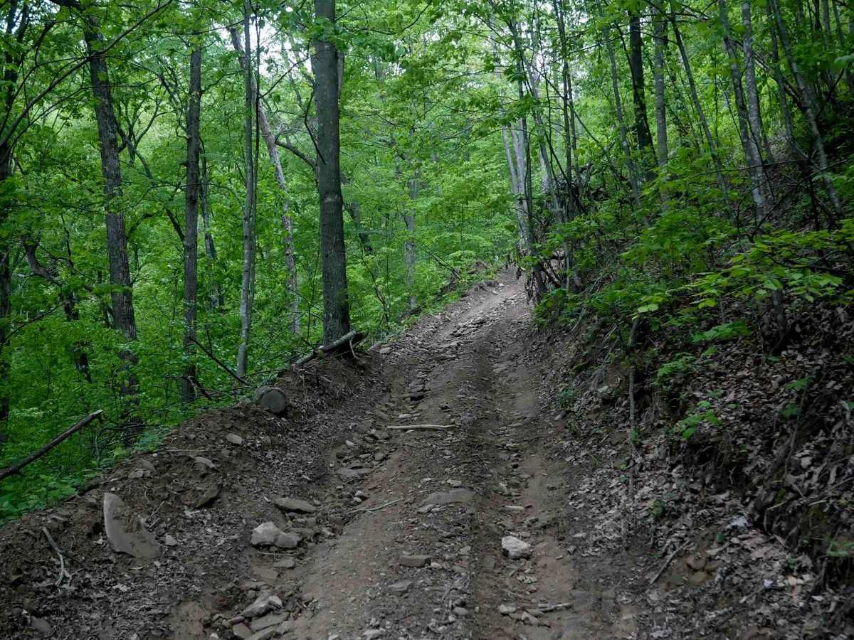 RH 95 trail photo