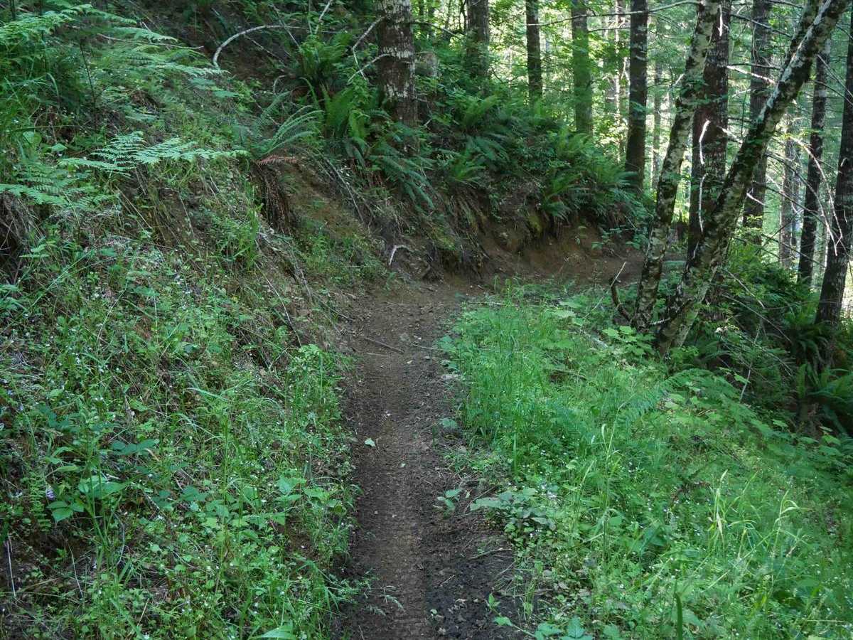 Odin's Ridge #72 trail photo