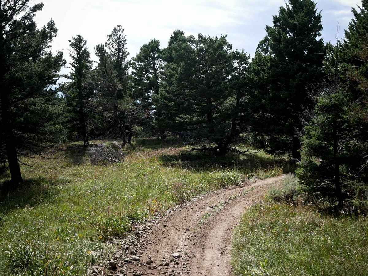 Jackson Creek ATV photo 6