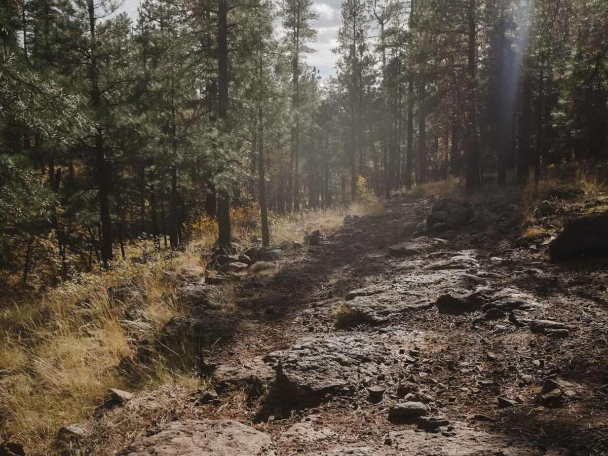Little Horse trail photo