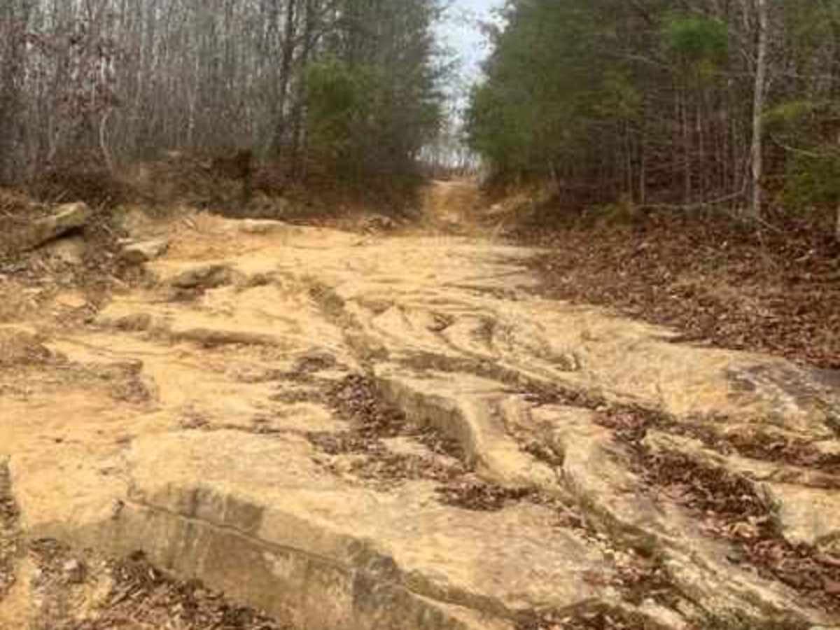Coalmont OHV Trail 1 Blue trail photo