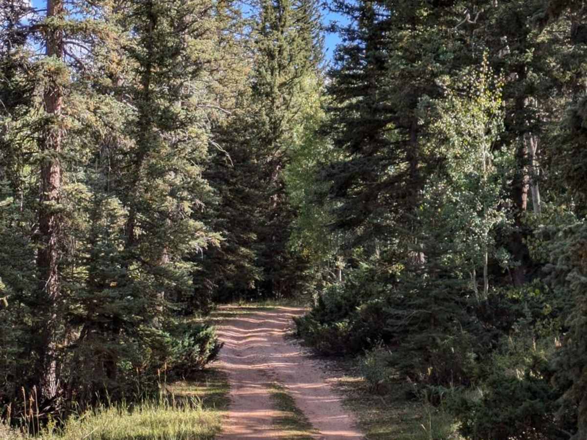 Podunk Cougar Hollow Loop photo 4
