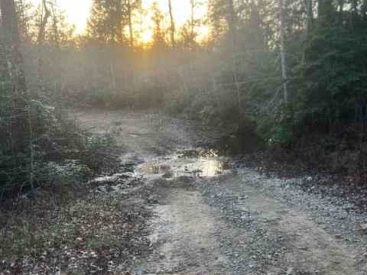 Coalmont OHV Trail 2 Green photo 5
