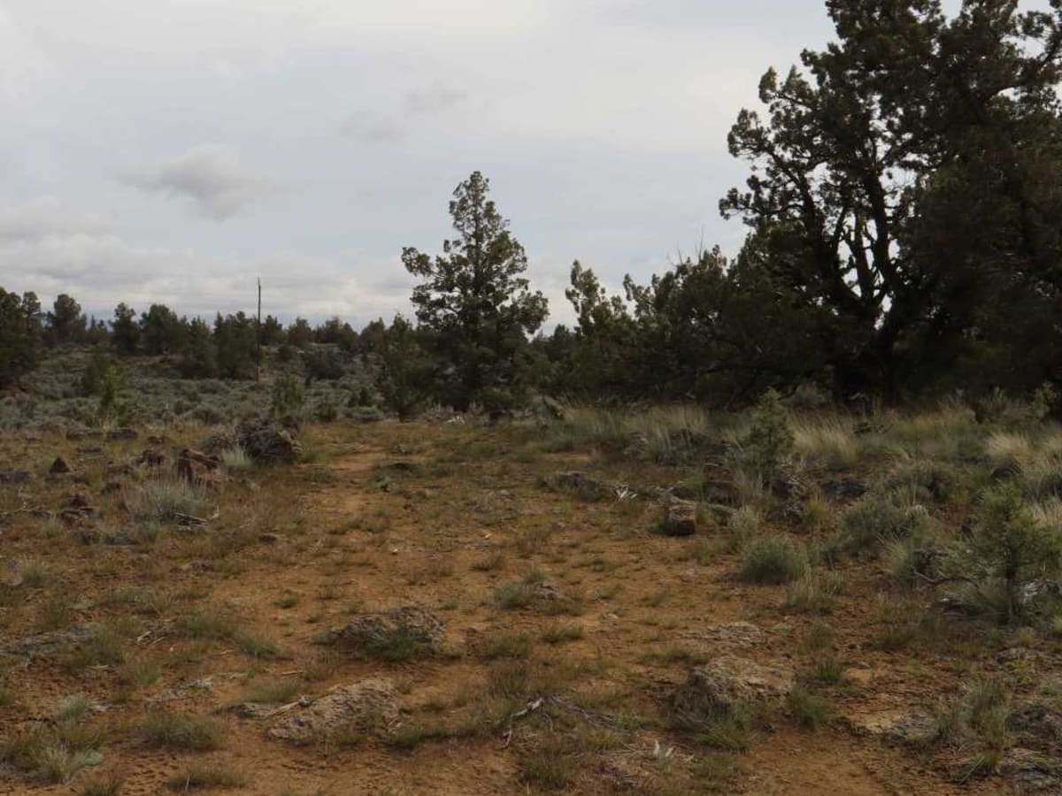 Remington Ranch Road Loop photo 6
