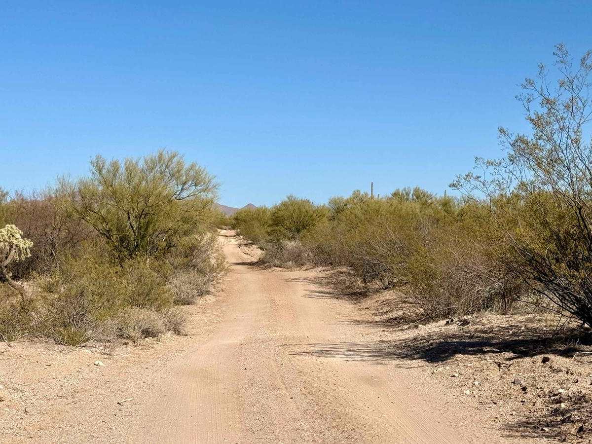 Western, East Willow Springs Road photo 5