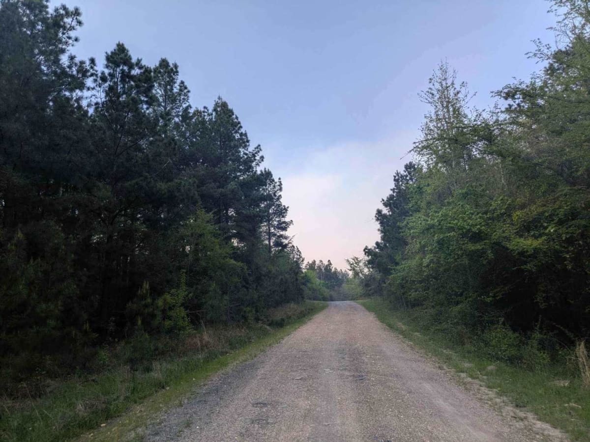 Old Windship Road photo 4