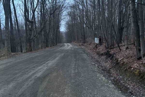 Walker Road