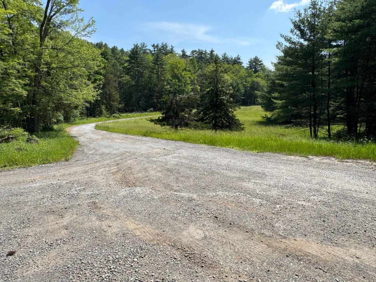 Rogue Harbor Road trail photo