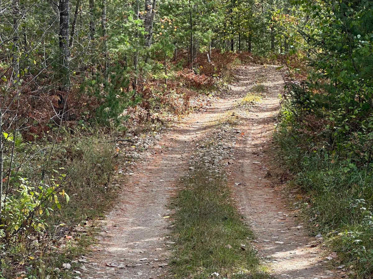 Neighbor Lake - FS 2791 photo 5