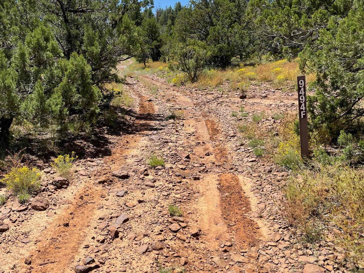 Committee Tank Trail photo 2