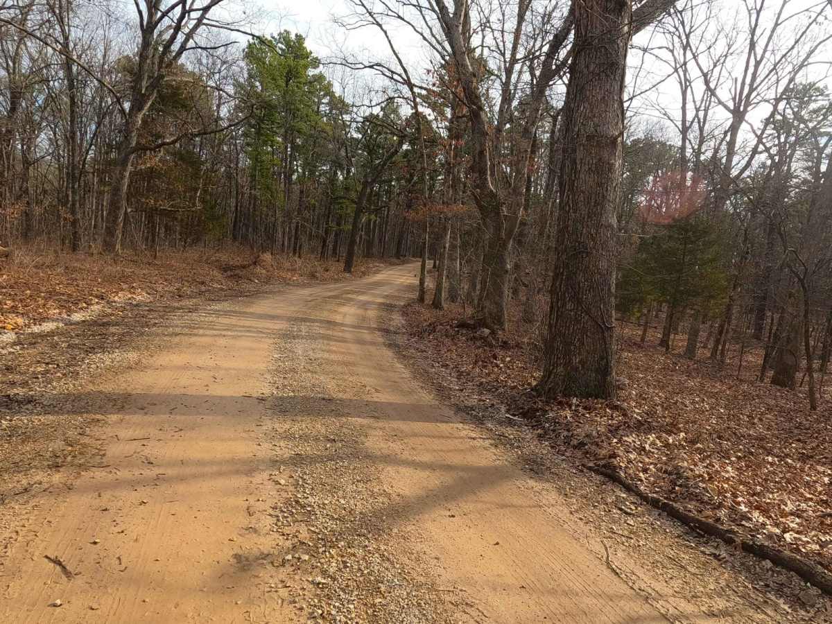 Martin Road - WCR 648 photo 5