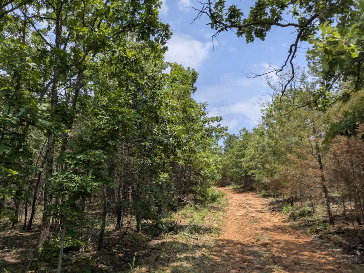 Ridge Road photo 5