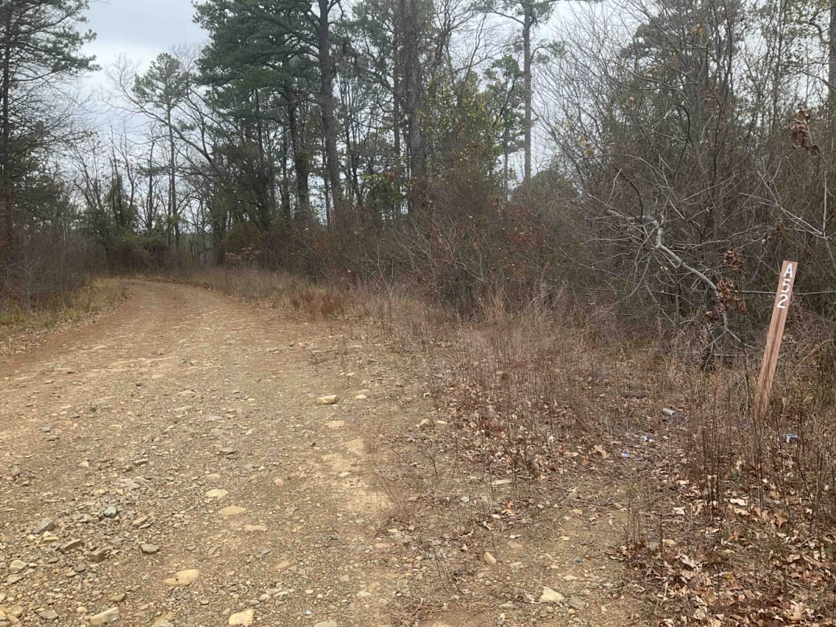 Upper Tram Trail trail photo