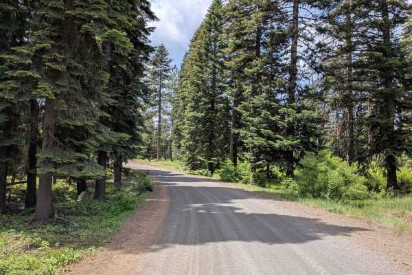 Wellamockin Road North NF46