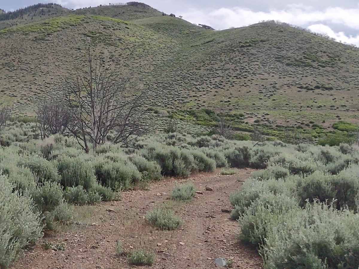 Alternate Smith Canyon Access (FS# 4923) photo 5