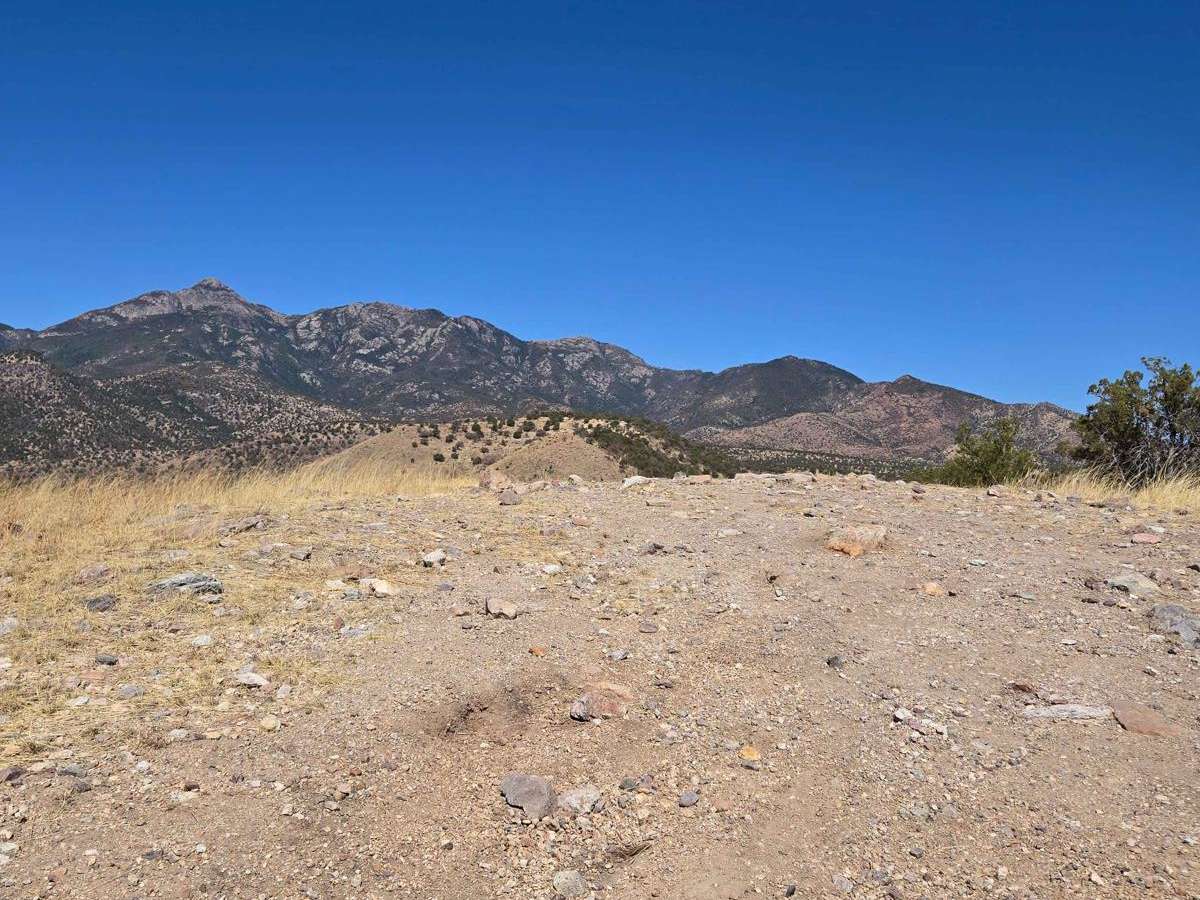 Hog Ridge - Trail 4859 photo 4