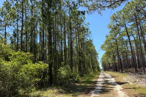 BOTOA Trail