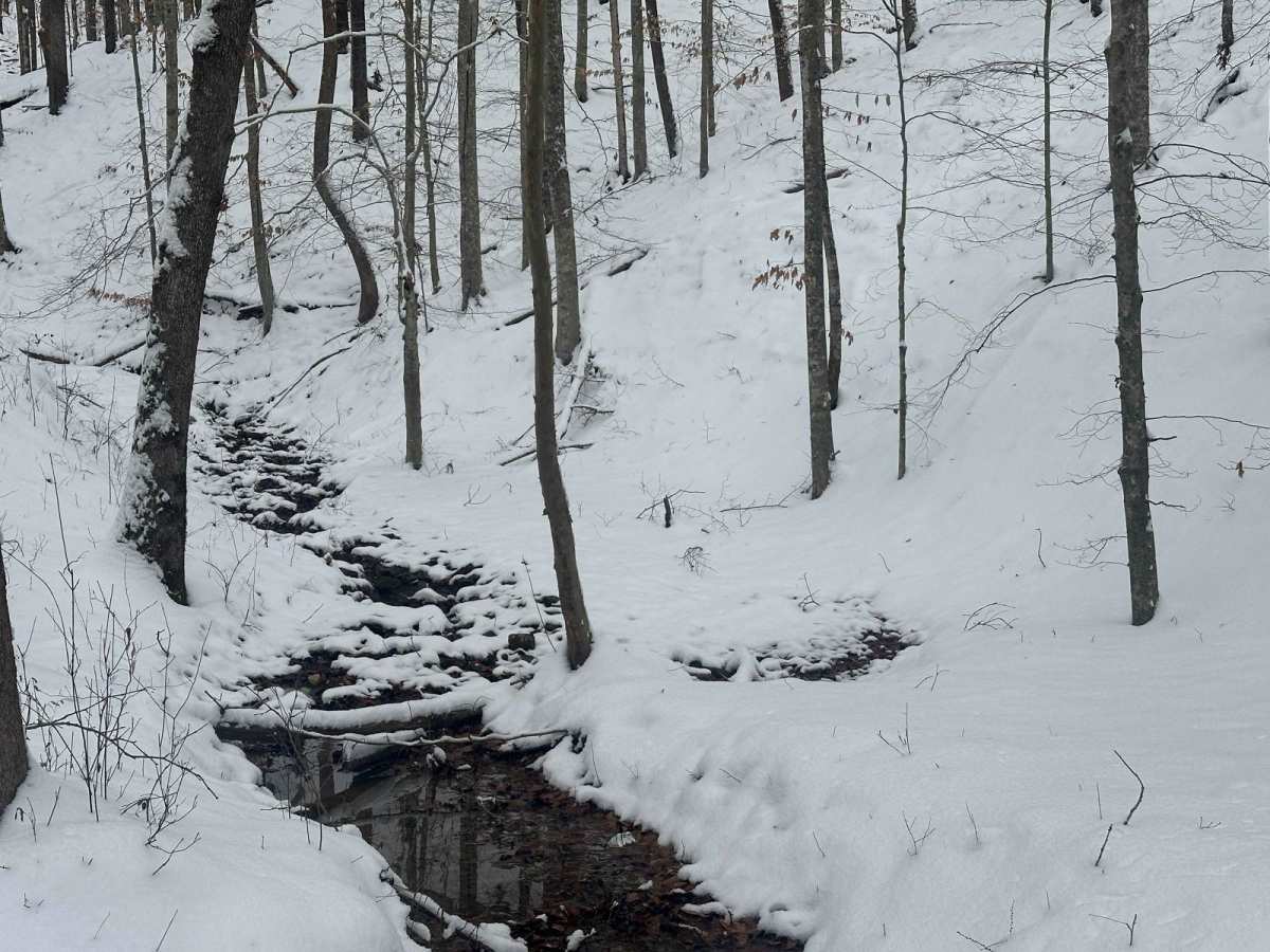 Cromer Ridge - 909 photo 6