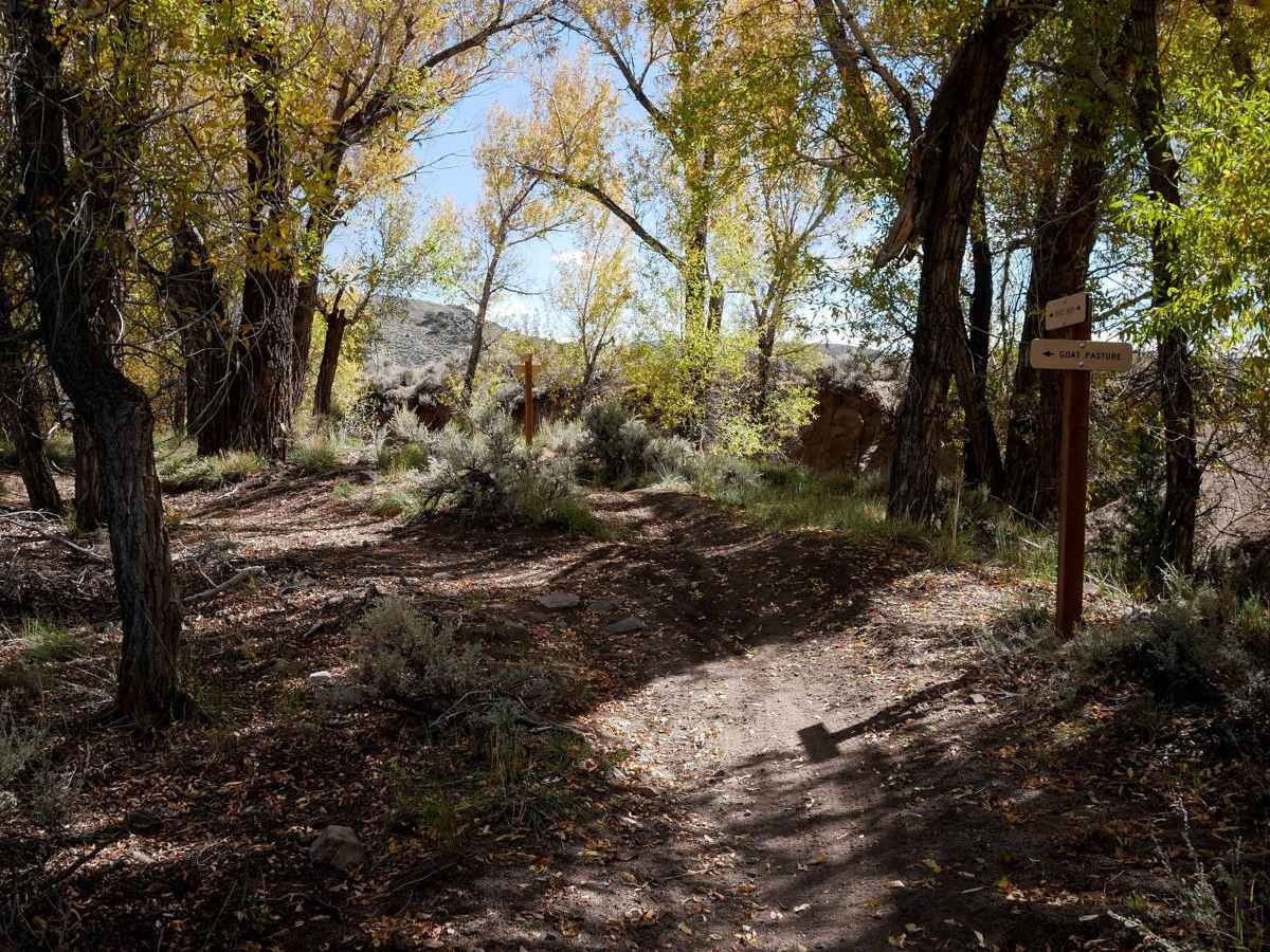 Sandy Wash trail photo