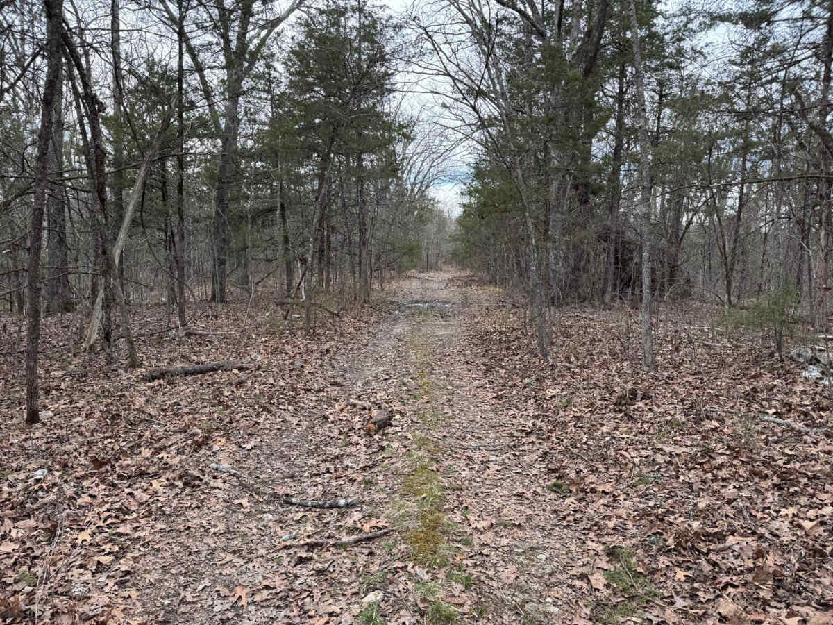 Fairview Church - FSR 170 trail photo