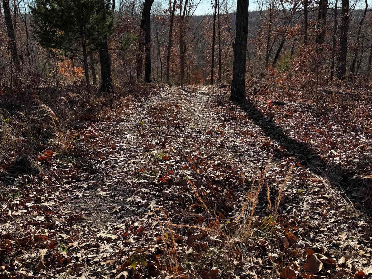 Green 232 trail photo
