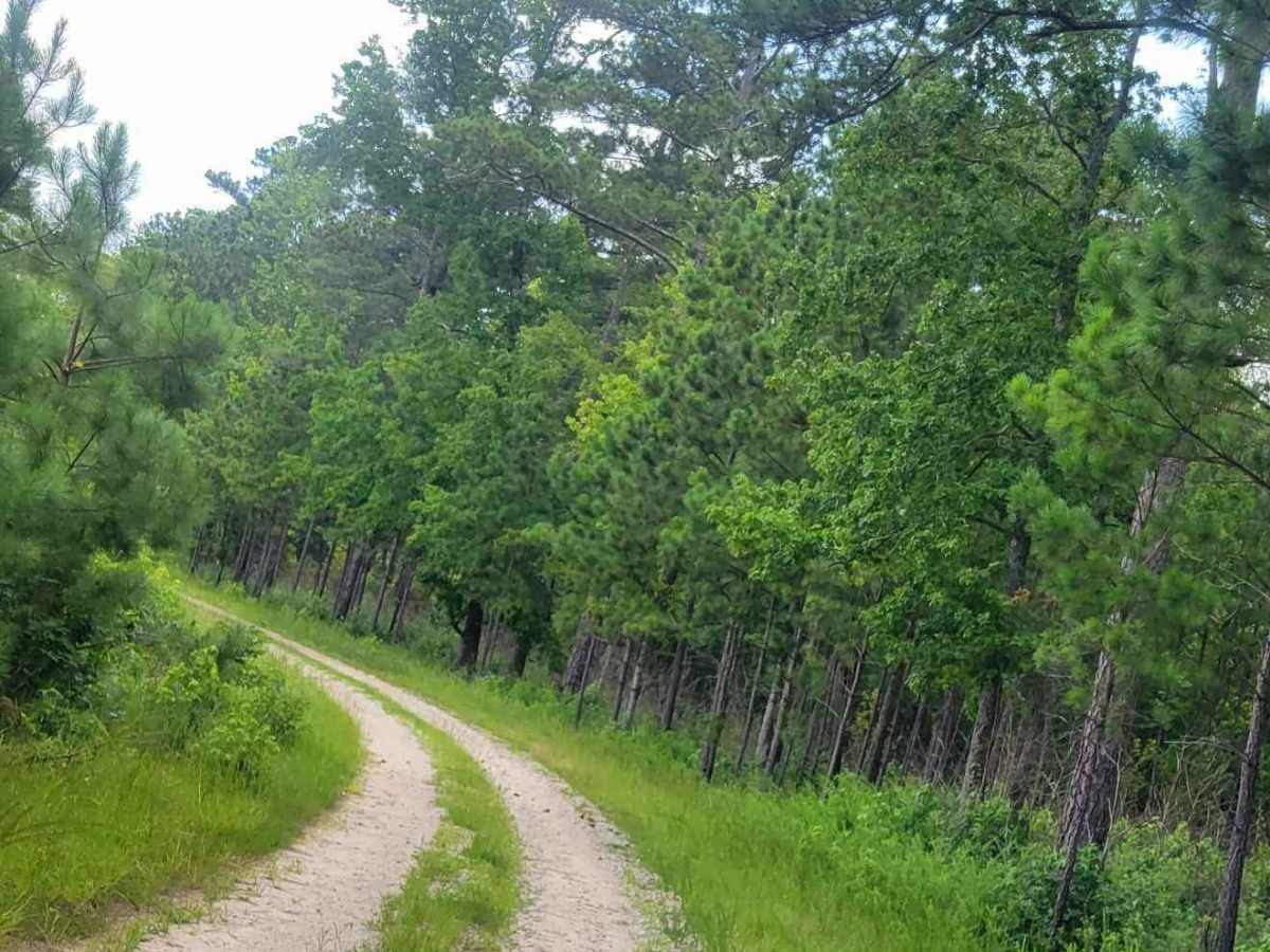 Horn Creek (638) via Prescott Road photo 4