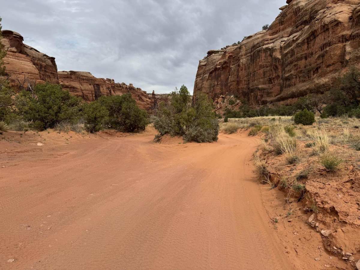 Bridge Canyon Road photo 3