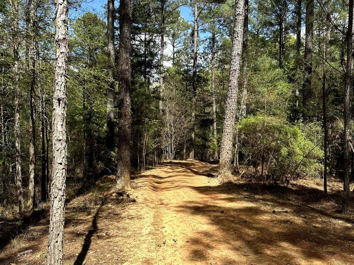 Trail 42 photo 3