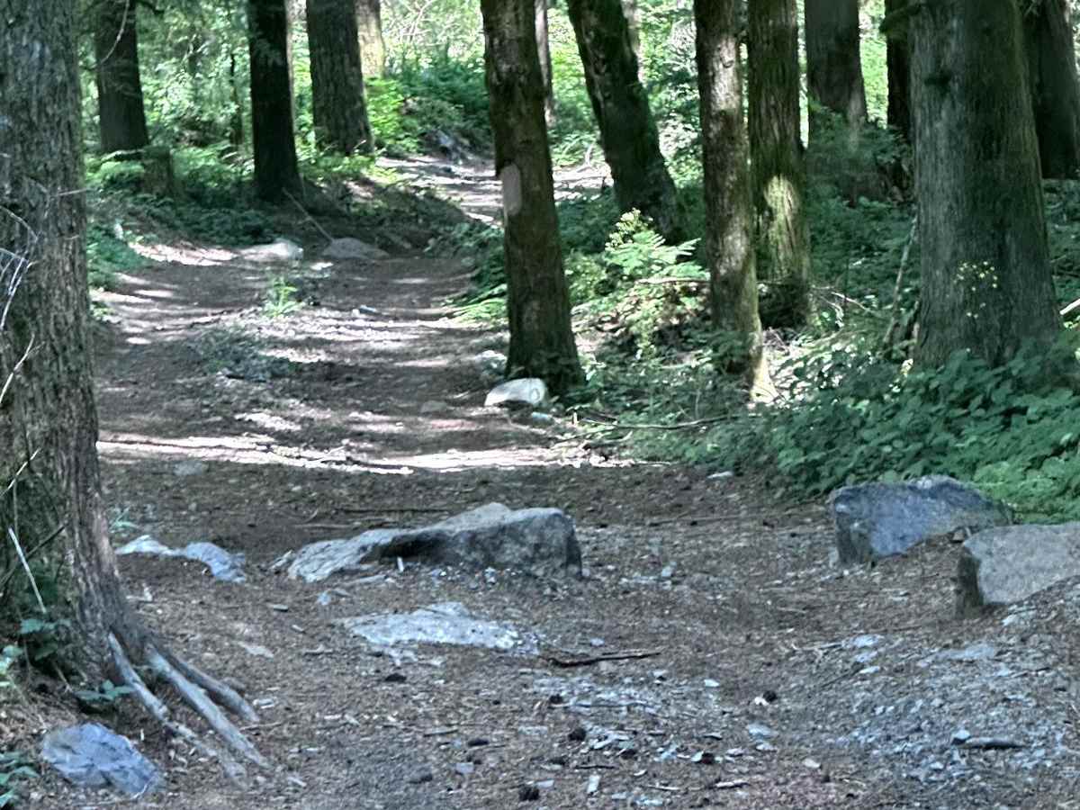 Old School trail photo