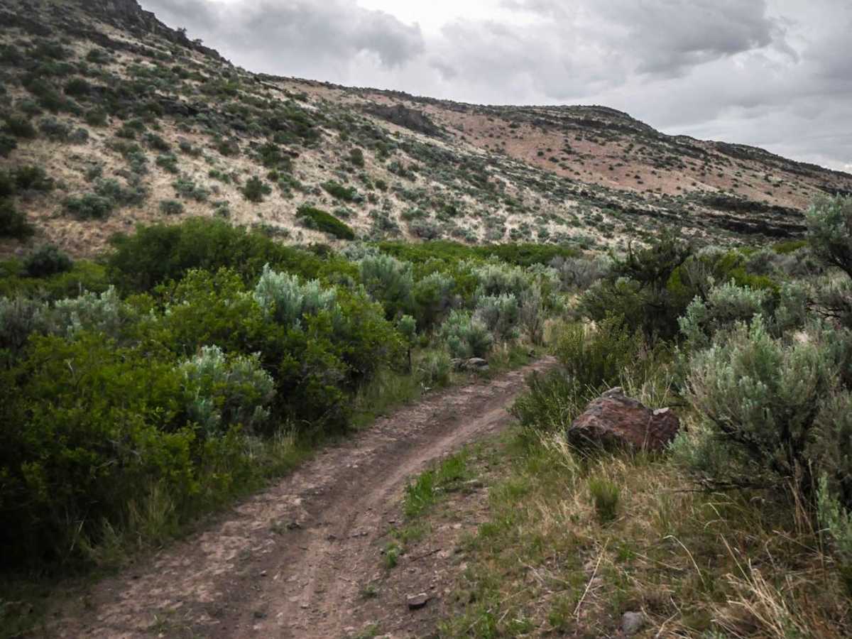 Lower Dry Gulch photo 6