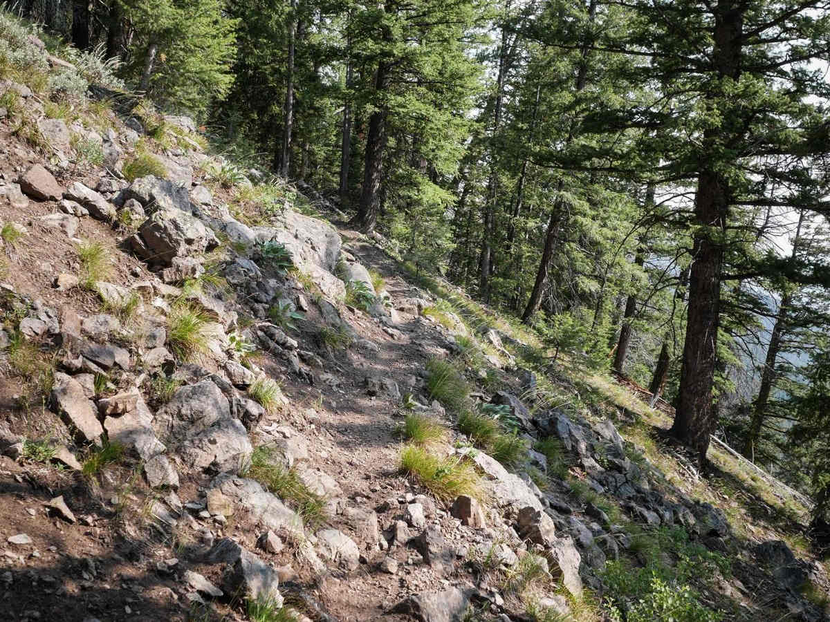 Peach Muley Cutoff trail photo