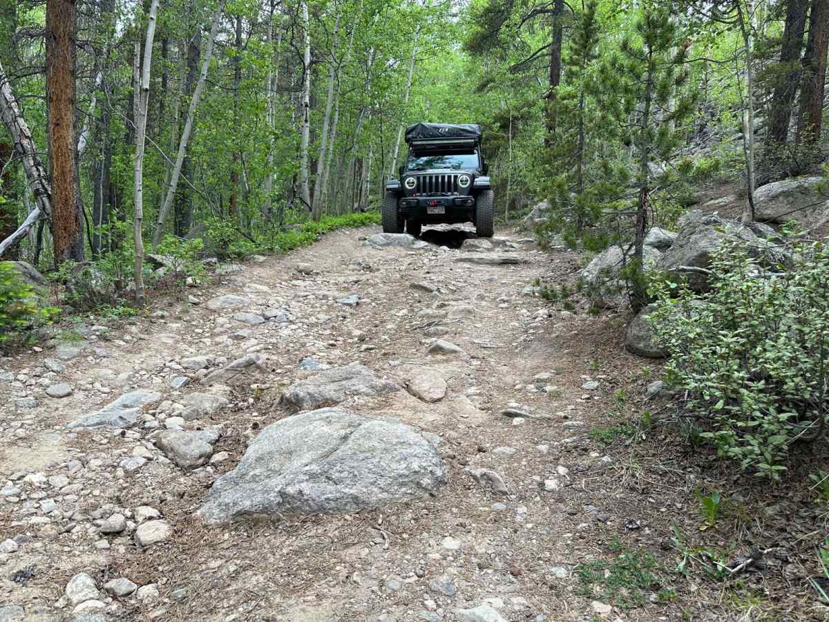 Bard Creek Road photo 6