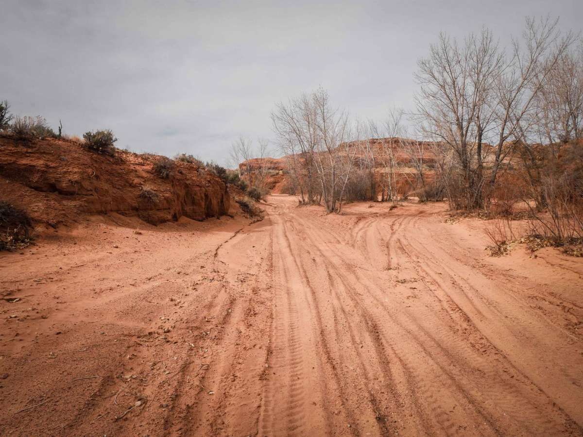 North Fork 10 Mile Wash ATV Trail photo 5