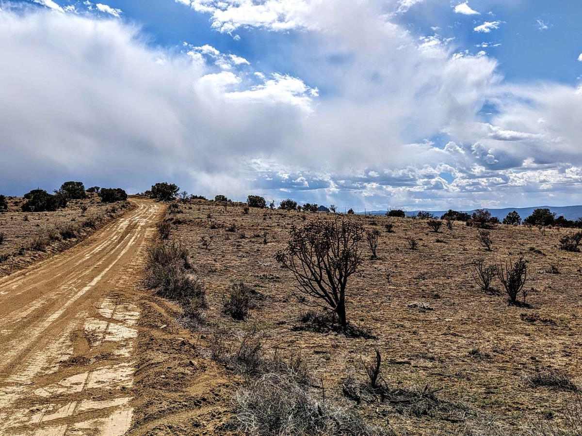 Cabezon Detour photo 2