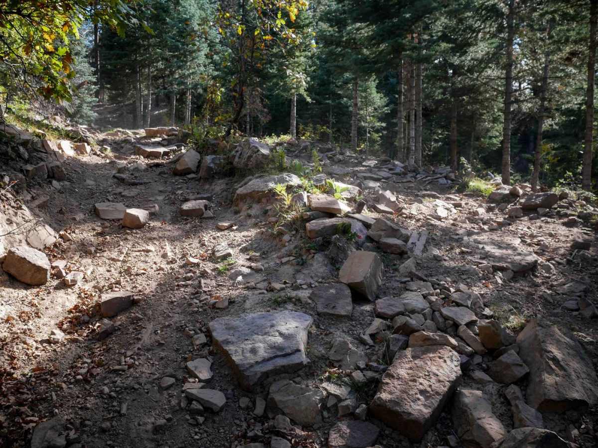 Bear Creek photo 5